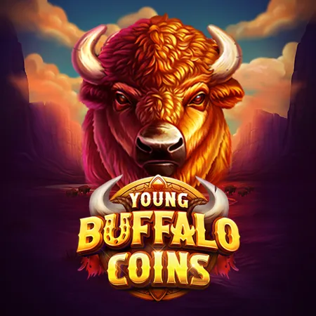Young Buffalo Coins