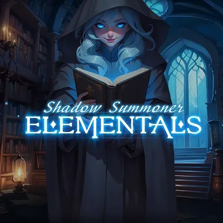Shadow Summoner Elementals