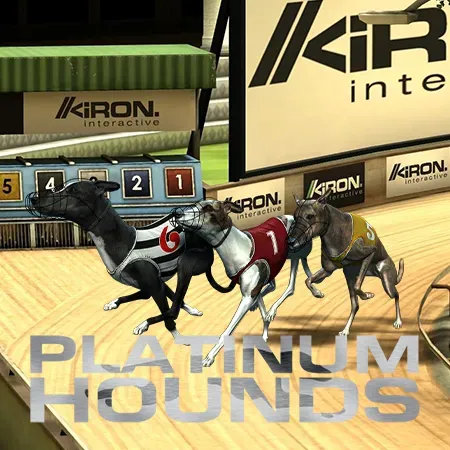 Platinum Hounds