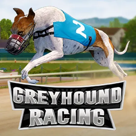 Greyhound Racing