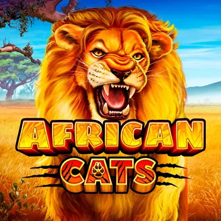 African Cats