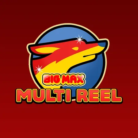 Big Max Multi Reel